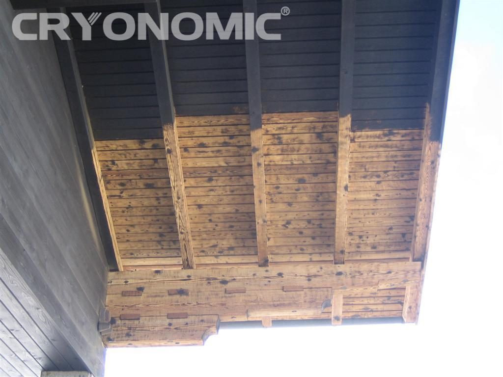 Entlacken von Holz mit CRYONOMIC Trockeneis Maschinen